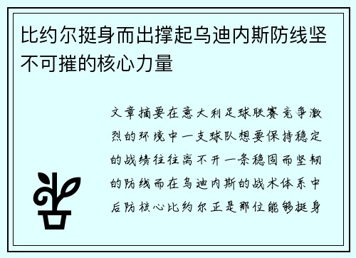 比约尔挺身而出撑起乌迪内斯防线坚不可摧的核心力量